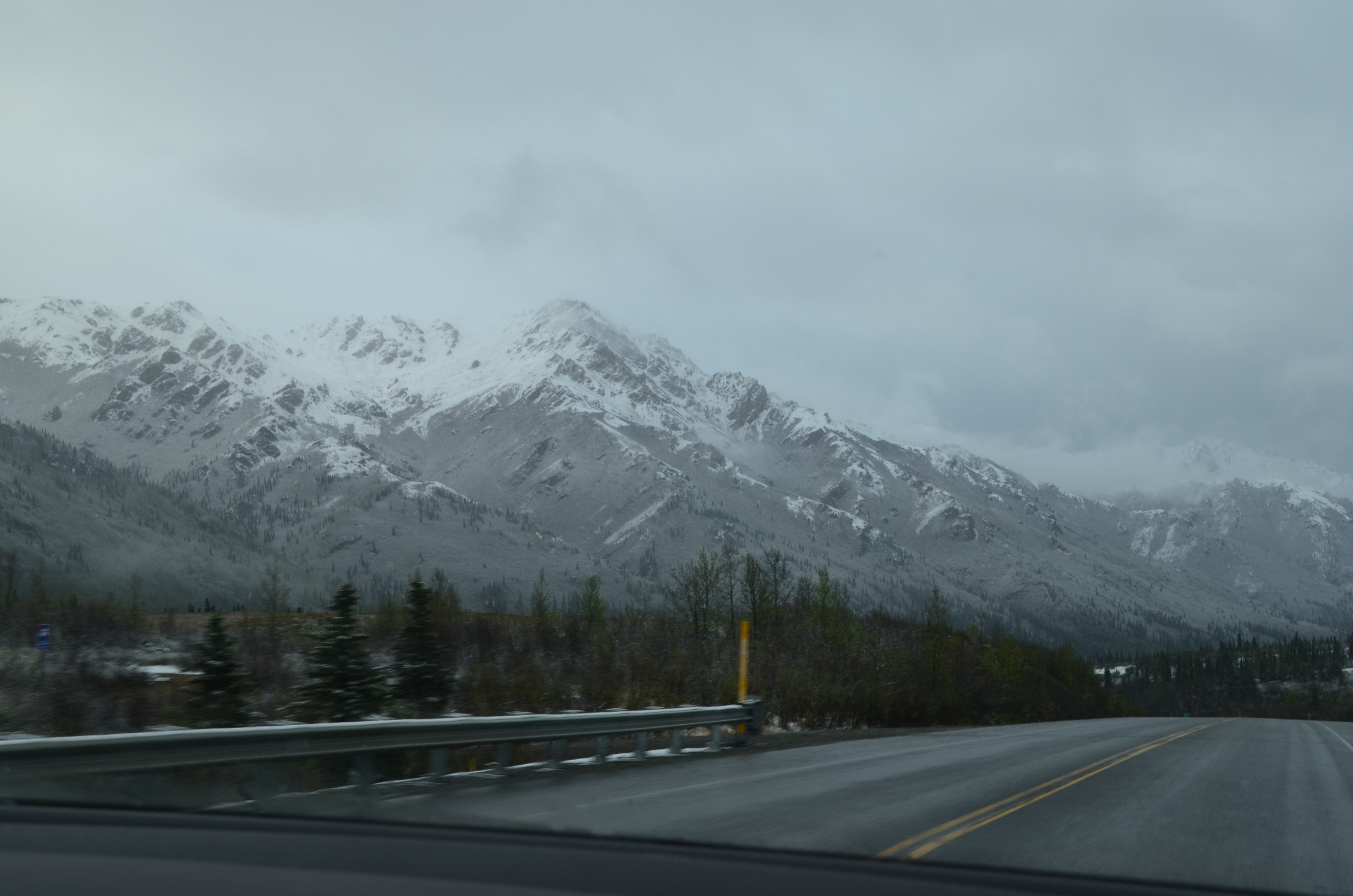 ./2017/08 - Alaska Cruise/03 - Denali/DSC_0189.JPG